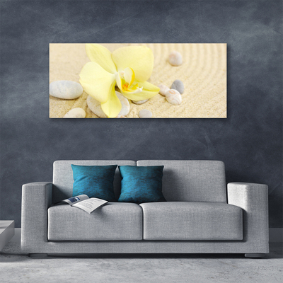 Quadro canvas Flores Planta Natureza