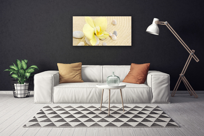 Quadro canvas Flores Planta Natureza