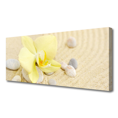 Quadro canvas Flores Planta Natureza