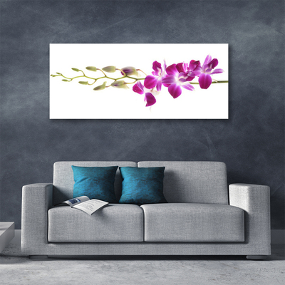 Quadro em tela Flores Planta Natureza