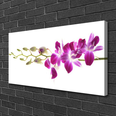 Quadro em tela Flores Planta Natureza