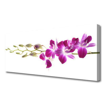 Quadro em tela Flores Planta Natureza