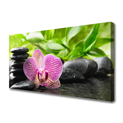 Quadro canvas Planta de pedras de flores