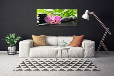 Quadro canvas Planta de pedras de flores