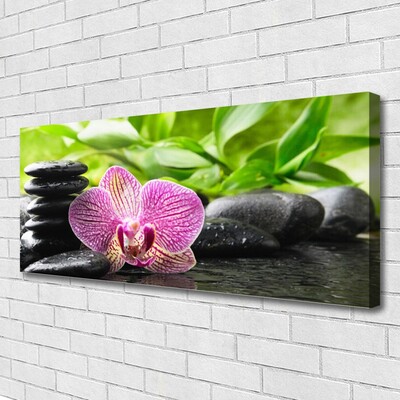 Quadro canvas Planta de pedras de flores