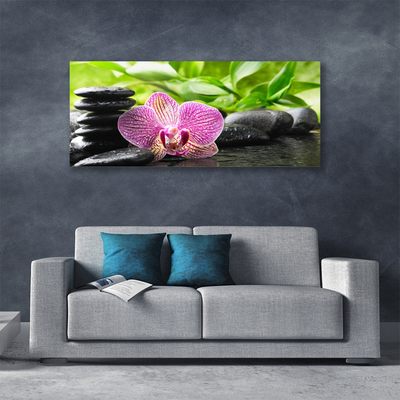 Quadro canvas Planta de pedras de flores
