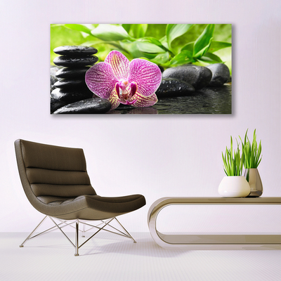 Quadro canvas Planta de pedras de flores