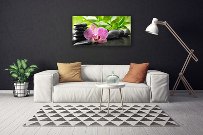 Quadro canvas Planta de pedras de flores