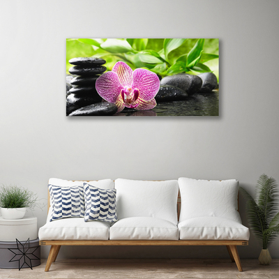 Quadro canvas Planta de pedras de flores