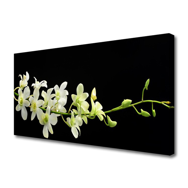 Quadro em tela Flores Planta Natureza