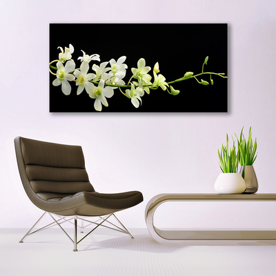 Quadro em tela Flores Planta Natureza