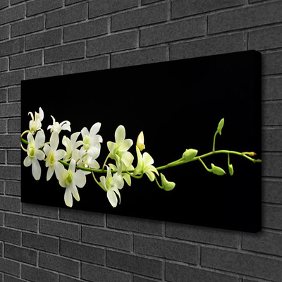 Quadro em tela Flores Planta Natureza