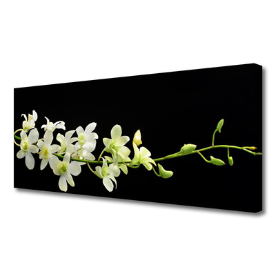 Quadro em tela Flores Planta Natureza