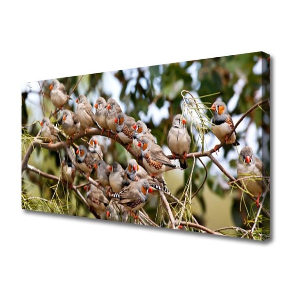Quadro canvas Pássaros Animais