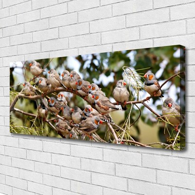 Quadro canvas Pássaros Animais