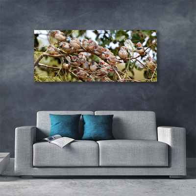 Quadro canvas Pássaros Animais