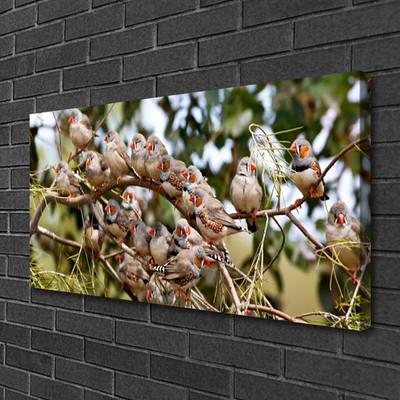 Quadro canvas Pássaros Animais