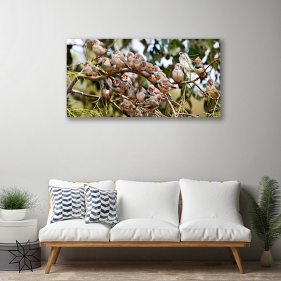 Quadro canvas Pássaros Animais
