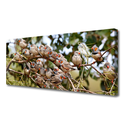 Quadro canvas Pássaros Animais