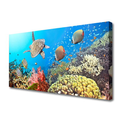 Quadro em tela Paisagem de recifes de coral