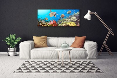 Quadro em tela Paisagem de recifes de coral