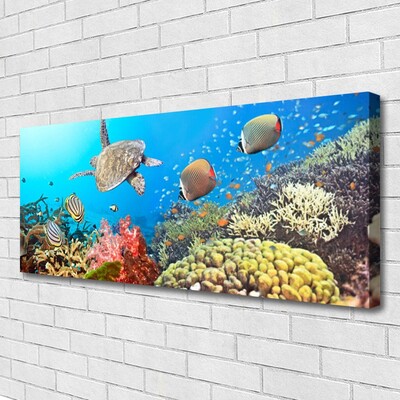 Quadro em tela Paisagem de recifes de coral