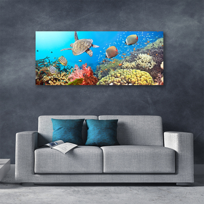 Quadro em tela Paisagem de recifes de coral