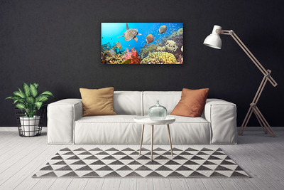 Quadro em tela Paisagem de recifes de coral