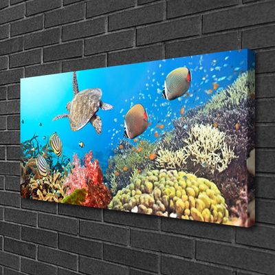 Quadro em tela Paisagem de recifes de coral