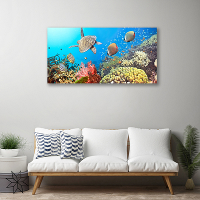 Quadro em tela Paisagem de recifes de coral