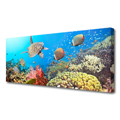 Quadro em tela Paisagem de recifes de coral