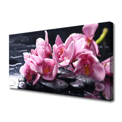Quadro canvas Planta de orquídea flor