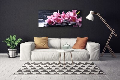 Quadro canvas Planta de orquídea flor