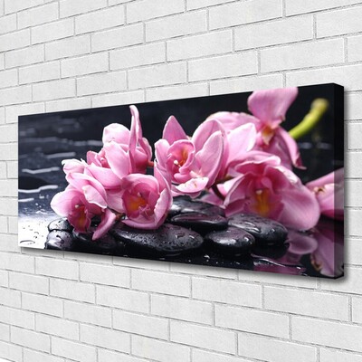 Quadro canvas Planta de orquídea flor
