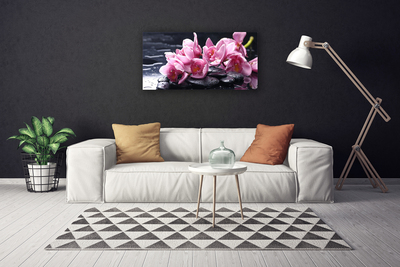 Quadro canvas Planta de orquídea flor
