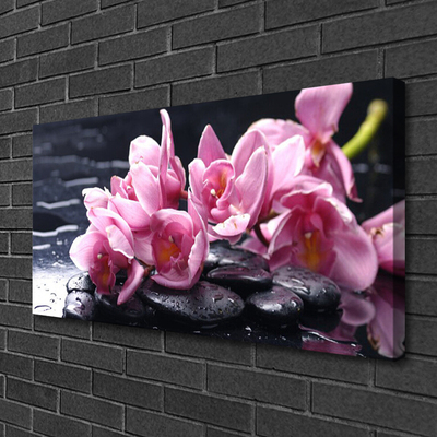 Quadro canvas Planta de orquídea flor