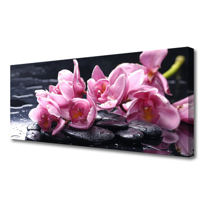 Quadro canvas Planta de orquídea flor