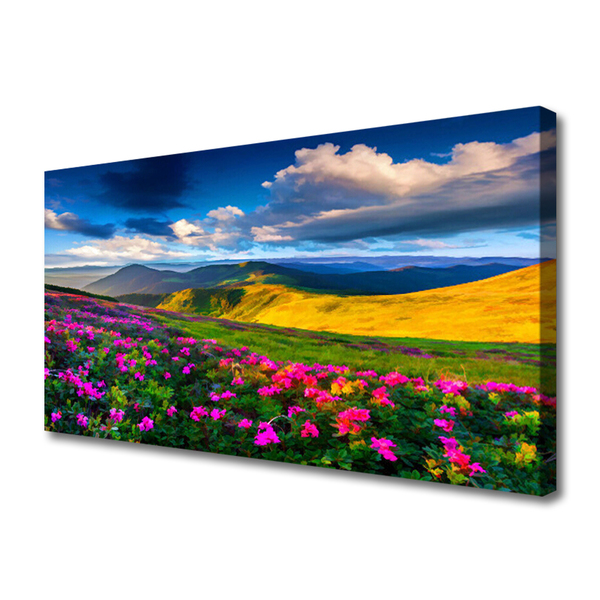 Quadro canvas Flores do Prado Natureza Planta