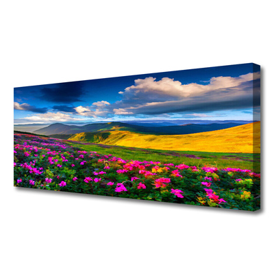 Quadro canvas Flores do Prado Natureza Planta