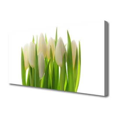 Quadro canvas Tulipas Plantam Natureza