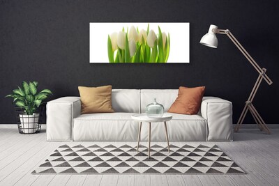 Quadro canvas Tulipas Plantam Natureza