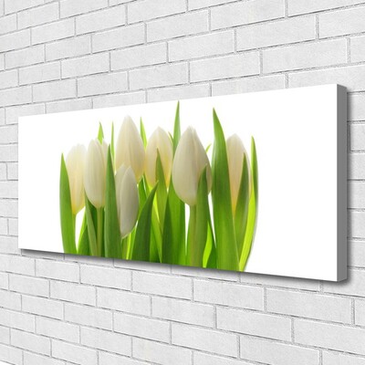 Quadro canvas Tulipas Plantam Natureza
