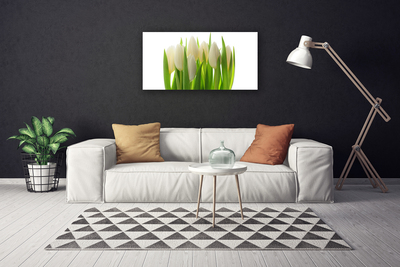 Quadro canvas Tulipas Plantam Natureza