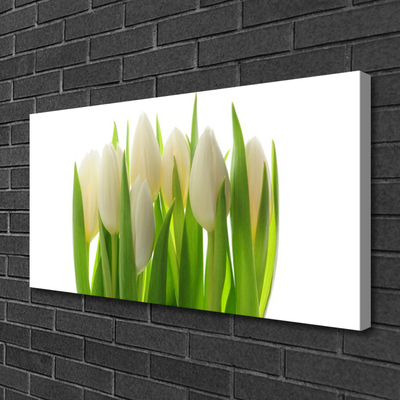 Quadro canvas Tulipas Plantam Natureza