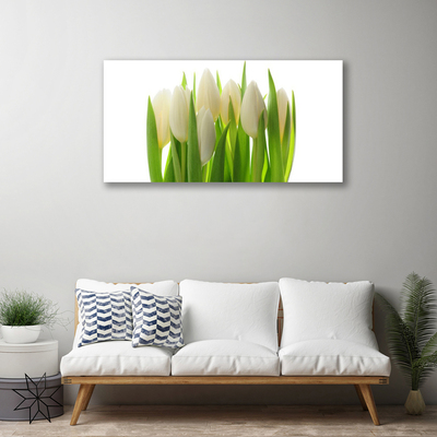 Quadro canvas Tulipas Plantam Natureza