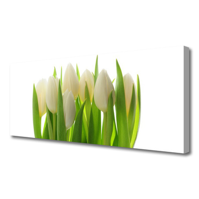Quadro canvas Tulipas Plantam Natureza