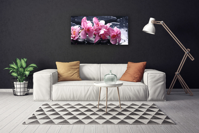 Quadro em tela Flor de orquídea para quarto