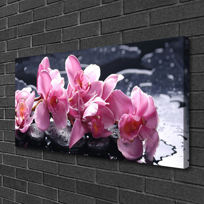 Quadro em tela Flor de orquídea para quarto