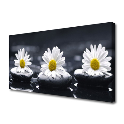 Quadro canvas Planta Daisy Stones