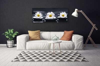 Quadro canvas Planta Daisy Stones